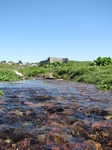 SX14430 Manorbier castle from stream running towards Manorbier Bay.jpg